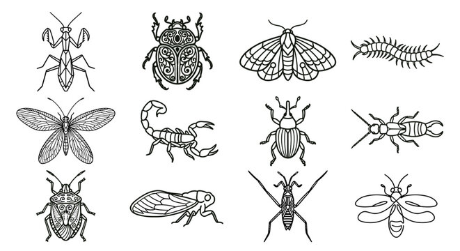 Intricate line art insect tattoo and mandala set. Ornate and symmetrical vector illustrations of a mantis, scarab beetle, scorpion, and longhorn beetle with stylized filigree patterns. Isolated on whi