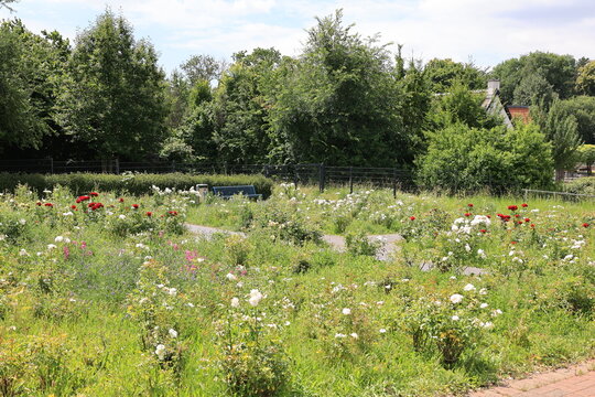 Blick in den Dortmunder Stadtteil Aplerbeck	