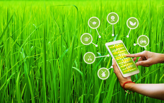 Person holding smartphone with icons related to agriculture and technology in green field  modern farming and precision agriculture concept