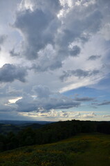Fototapeta premium Expansive sky over wildflower field in Serra Gaúcha, Rio Grande do Sul, Brazil