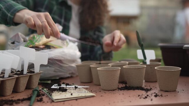 Woman planting seeds in biodegradable pots