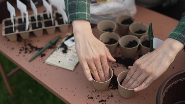Female hands sowing seeds into small biodegradable peat pots