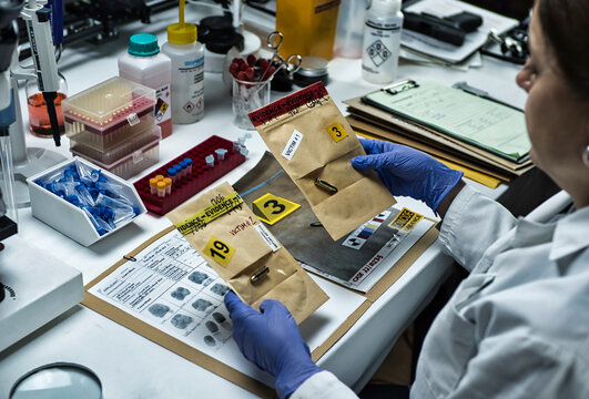 A police ballistics expert is examining two bullets of different calibres linked to a murder, conceptual idea