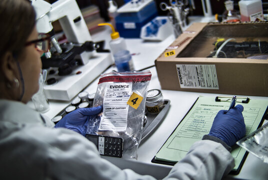 A police forensic expert is examining a mobile phone that is being used as evidence in a murder case