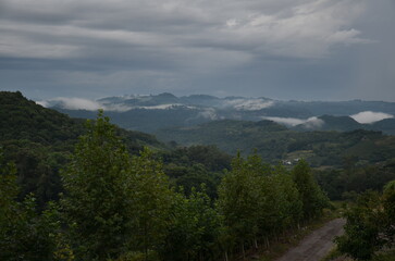 Misty mountain landscape with rolling hills in Serra Gaúcha, Rio Grande do Sul, Brazil © Matheus