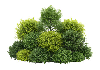 Obraz premium Lush green bushes and small trees, diverse types and textures, vibrant shades from lime to emerald, isolated on a pristine transparent studio background with ample copy space, showcasing natural
