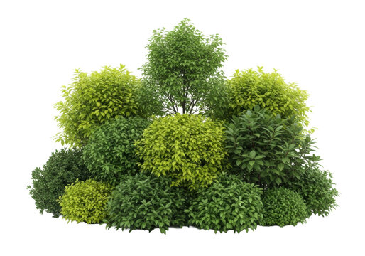 Lush green bushes and small trees, diverse types and textures, vibrant shades from lime to emerald, isolated on a pristine transparent studio background with ample copy space, showcasing natural