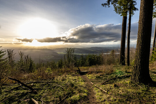 Sunlight breaks through clouds over forested hills. Tall trees cast shadows on grassy ground. Distant valleys fade into soft haze. Clear blue sky above rugged terrain in the Pacific Northwest USA.