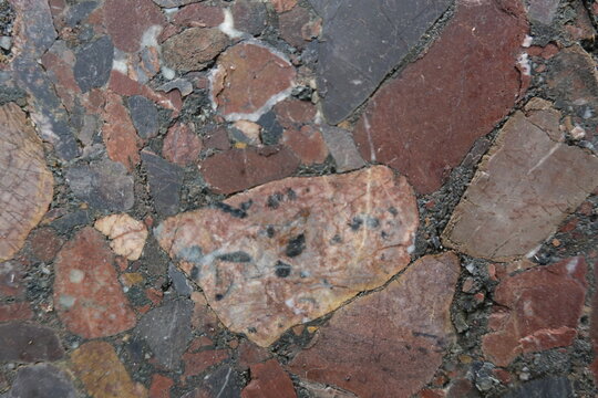 Polished Breccias . Geschliffene Brekzien