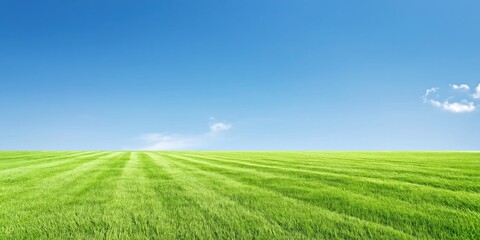 Naklejka premium Vast green lawn with manicured stripes under a clear blue sky