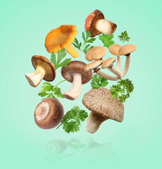 Fototapeta premium Fresh mushrooms and herbs falling against turquoise background