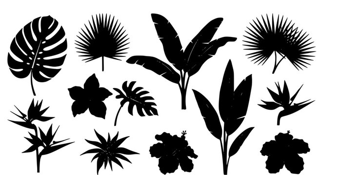 Create a large, diverse vector collection of tropical jungle leaves and flowers in solid black silhouette style. Include monstera leaves, fig leaves, palm fronds, and exotic tropical flowers. Arrange 
