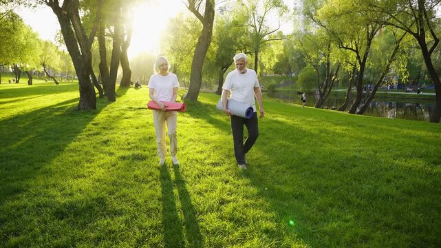 couple of elderly seniors go to exercise and talk in the park, gray-haired pensioners spread yoga mat on the grass and actively relax in the summer