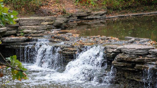 Autumn Cascade: Rushing Waterfall with Leaves and Foreground Branch