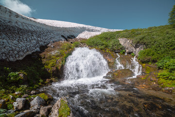 Big waterfall flows from mossy rock under snow cornice in sunny day. Green alpine scenery with pure mountain creek among wild lush flora in bright sun. Large river source under snowfield in sunlight. © Daniil