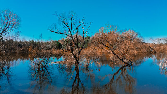 autumn swamp country side depressive environment space September landscape