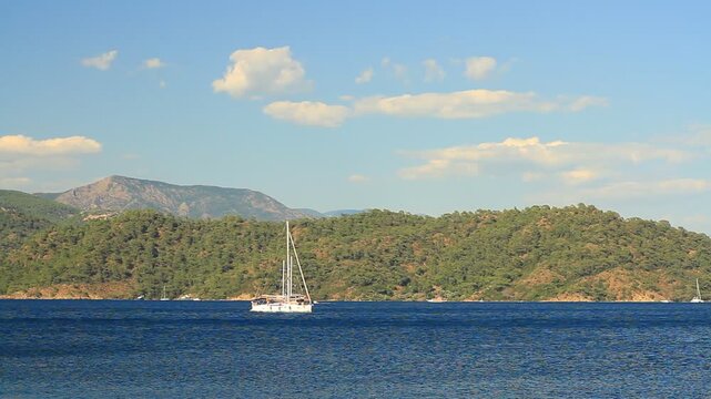 Multiple sailboats and gulets anchored in Gocek bay with pine-covered islands in background, Mugla, Turkey