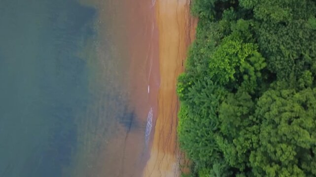 Exotic white sandy beach in Madagascar, lined with palm trees. Aerial view drone flying over.