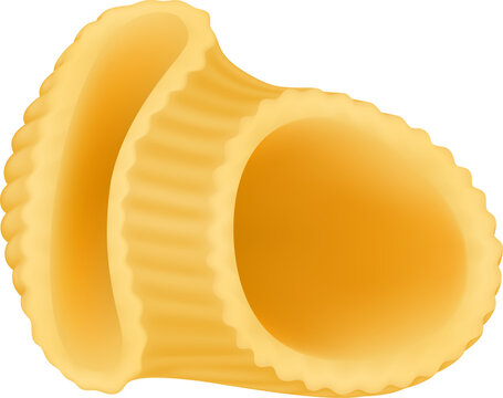 Realistic pasta, italian spaghetti, shells, farfalle and cavatappi. Italian cuisine dish, pasta types gemelli and penne vector illustration set. Macaroni types