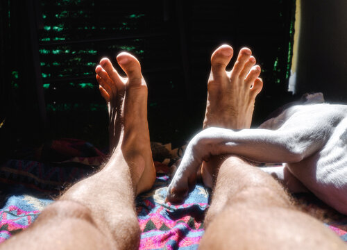 Feet and a Dog Leg Sunbathing Relax Together