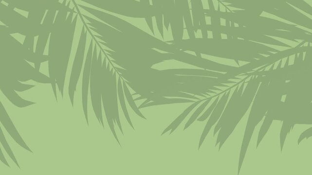 High-Contrast White Palm Leaves Silhouette, Luma Matte for Overlays - 3D rendering 4K animation