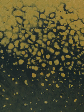 Aerial view of organic cellular patterns and sediment formations in the shallow coastal waters of Marsala, Sicily, Italy.