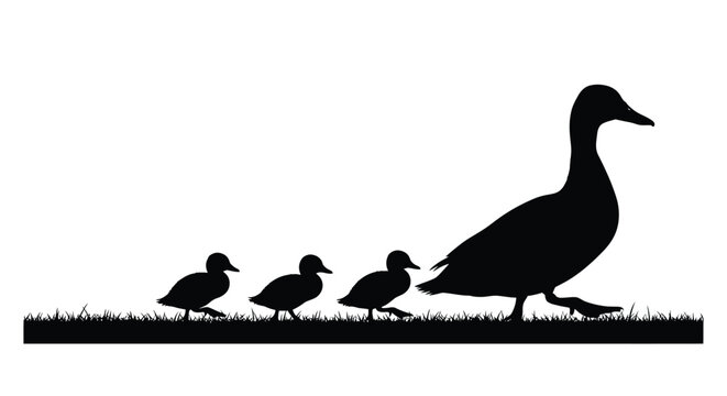 A mother duck leads her ducklings across grassy terrain silhouette