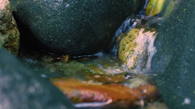 Clear stream running through stone boulders in carpathians. Abundant river flowing on stone bottom in slow motion. Wild mountain river water splashing in summer day