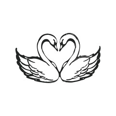 Hand drawn swan pair illustration of two swans forming a heart shape vector style © Firdausartwork