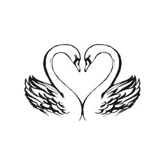 Hand drawn swan pair illustration of two swans forming a heart shape vector style © Firdausartwork