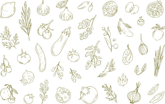 Minimal monochrome fresh produce outline pattern with fruits vegetables herbs and culinary ingredients in decorative arrangement