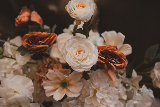A vintage-style image of a rose.