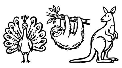 Fototapeta premium Animal illustrations peacock sloth kangaroo wildlife drawing