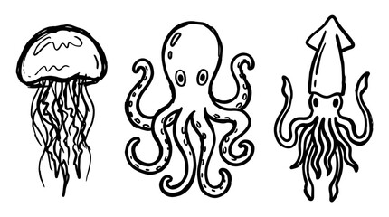 Marine life illustrations jellyfish octopus squid © Wagiman Studio