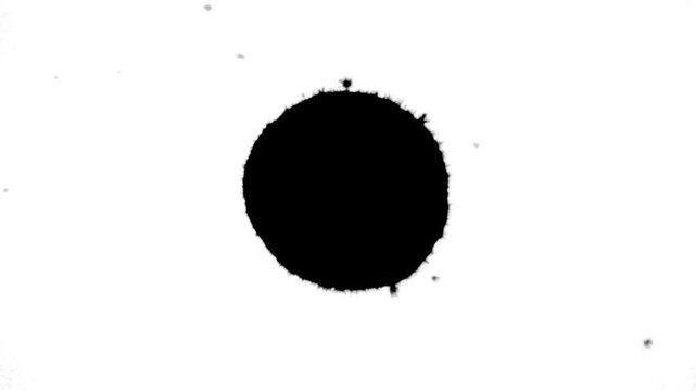 Perfect Circular Ink Blot Video Overlay - Clean Round Spread Footage Symmetric Ink Bloom Effect for Circular Logo Reveal UI Loading Animation Short Video Mask Transition Data Visualization