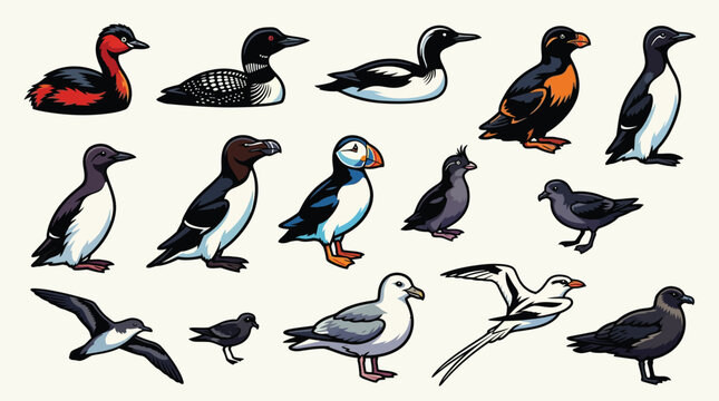 A diverse collection of seabirds, including puffins, guillemots, and gulls, depicted in a clear, illustrative style against a neutral background.