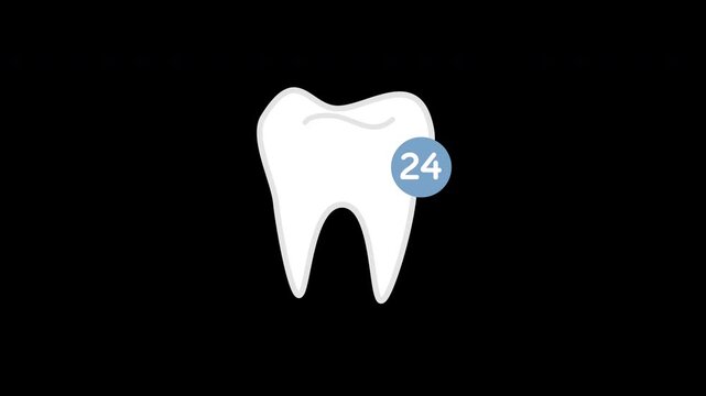 Animation 24 hours Dental care icon