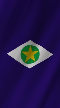 Vertical Mato Grosso Flag 4K Brazil State Pride Animation Flag MT Symbol