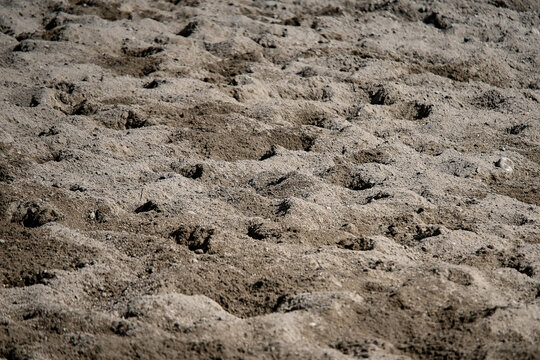 close up of a sand, arena floor, ground texture, natural brown, sand surface with irregular patterns in a horse track, detailed view of soil and dirt in a competition stadium