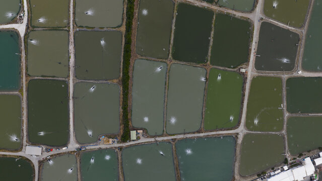 Aerial view of rectangular aquaculture fish ponds with water aerators and narrow dirt roads in Yonghua Village, Kaohsiung City, Taiwan.