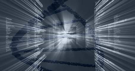 Obraz premium Rotating stylized DNA double helix through virtual data tunnel, with code columns and light flare