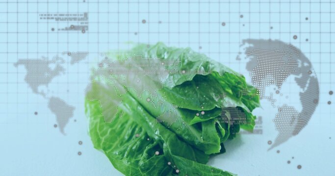 Displaying head of romaine lettuce with water droplets on pale blue grid, with world map overlay