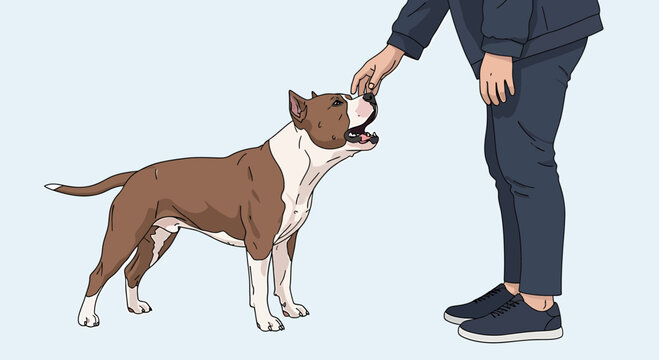 Vector illustration of a person petting a loyal pit bull dog