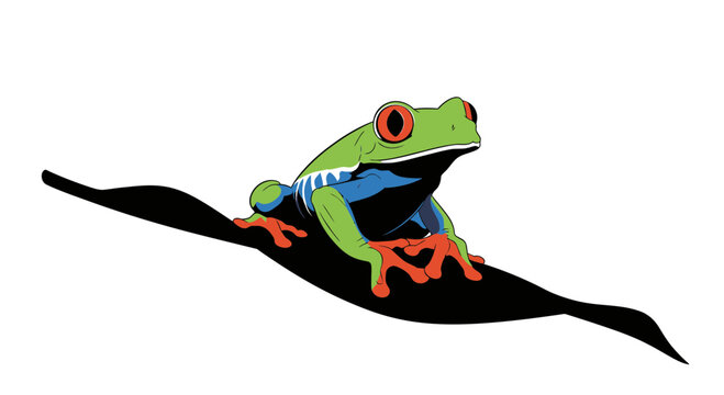 Red-eyed Tree Frog Vector Illustration Sitting on Leaf Silhouette