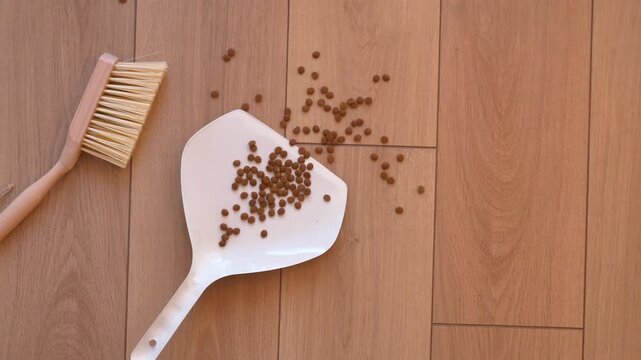 Top view of dry pet food pellets scattered on wooden floor with white dustpan and brush set.