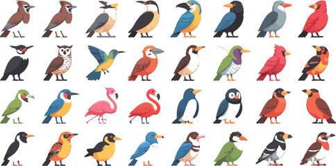 Big set of colorful birds with flying wildlife characters, exotic fauna collection featuring woodpecker, flamingo and goose vector illustration © Mst