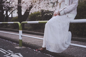 フルートと満開の桜 © Jerry