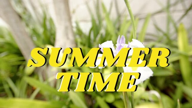 Camera pulling focus and zooming revealing white bloom behind SUMMER TIME highlighting summer