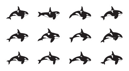 Orca killer whale silhouette collection in various dynamic poses for ocean mammal marine theme. © MD.RAHIM