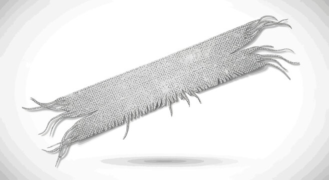 Abstract textured object, resembling a centipede or fibrous material, isolated on white